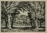 Birger Sandzén, In the Park