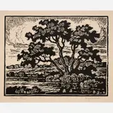 Birger Sandzén, Prairie Stream, 1937, Linocut on paper