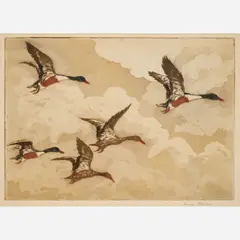 Hans Kleiber, Spoon Bills, Color etching and aquatint on paper