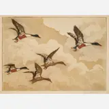 Hans Kleiber, Spoon Bills, Color etching and aquatint on paper