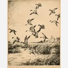 Hans Kleiber, Pintails and Mallards, Etching on paper