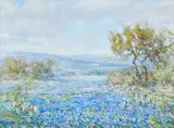 Robert Harrison, Bluebonnets Near Wimberley, oil on canvas