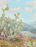Robert Harrison, Texas Cactus, oil on canvas