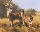 Luke Frazier, High Alert, oil on panel