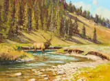 Kimbal Warren, Bull Elk, oil on panel