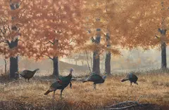 Walt Cude, Timber Mist, oil on canvas