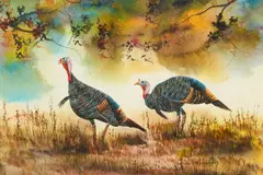 Edmon Benavides, Two Turkeys, watercolor