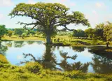 Jose Milagros Perdomo, Lake Scene, 2012, oil on canvas