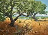 Jerry Greenberg, Texas, oil on canvas