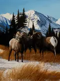Gene Dodge, Bighorn Sheep, oil on panel