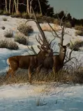 Gene Dodge, Winter Mates, oil on panel