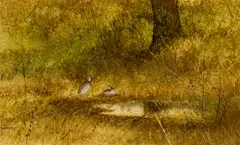 Raul Gutierrez, Nesting Quail, watercolor