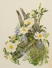 Jeanne Holgate, Texas Bluebonnet and Cherokee Rose, watercolor