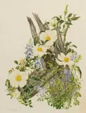 Jeanne Holgate, Texas Bluebonnet and Cherokee Rose, watercolor