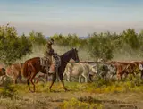 Herman Walker, When the Days Get Long, oil on panel