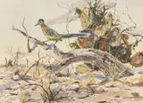 Clay McGaughy, Westerner, watercolor on paper