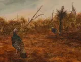 Bob Guelich, Two Turkeys, watercolor on paper