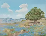 Robert Harrison, Bluebonnet Landscape, oil on canvas board
