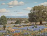 Royce Roberts, Bluebonnet Landscape, oil on canvas