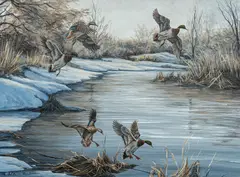 Ed Wards, Silent Haven, 1978, oil on canvas