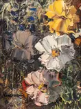 José Vives-Atsara, Wild Flowers