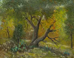 Carl T. Hoppe, oak Trees - Helotes, Texas, Oil