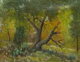 Carl T. Hoppe, oak Trees - Helotes, Texas, Oil