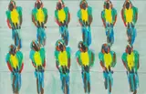 Mark Marek, Twelve Parrots, 1977, acrylic and pencil on paper