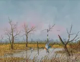 Daniel Maldonado, Ducks in Flight, watercolor