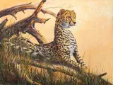 Gilbert Duran, Cheetah, 1997, oil on canvas