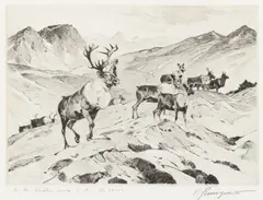 Carl Rungius, Above Timberline, etching on paper