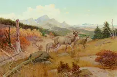 Olaf Carl Seltzer, Black Tailed Deer, oil on canvas laid on board