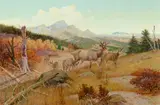 Olaf Carl Seltzer, Black Tailed Deer, oil on canvas laid on board