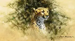David Shepherd, Cheetah in the Bush, 1973, acrylic on canvas