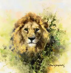 David Shepherd, Lion Study, 1987, oil on canvas