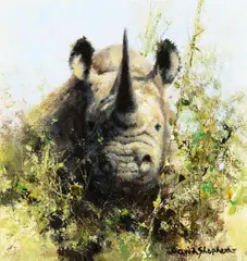 David Shepherd, Rhino Study, oil on canvas