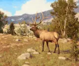 Tucker Smith, Elk at Rungius Camp, 1996, oil on canvas laid on board