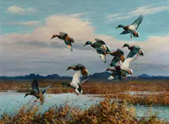 Harry Adamson, Mallards in the Afternoon, oil on canvas
