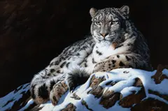 Steve Burgess, Ghost of the Altai, 2024, oil on board