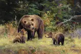 Ken Carlson, Home Schooling – Grizzly, oil on board