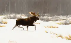 Guy Coheleach, Lone Moose, 1977, oil on canvas