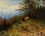 John Fery, Bugling Elk, oil on canvas