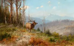 John Fery, Glacier Park Elk, oil on canvas laid on board