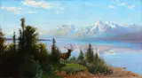 John Fery, Jackson Lake