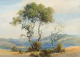 Percy Gray, Marin Eucalyptus, watercolor on paper