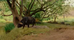 Wilhelm Kuhnert, Cape Buffalo at the Water Hole, 1912, oil on canvas