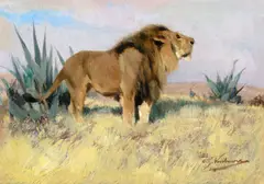 Wilhelm Kuhnert, King of the Tsavo, oil on board