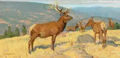 Robert Lougheed, Above the Okanagan Game Farm, oil on board