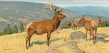Robert Lougheed, Above the Okanagan Game Farm, oil on board