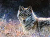 Bonnie Marris, Frosty Morning, oil on canvas